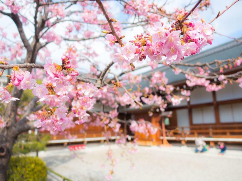 Stay Sakura Kyoto Toji West I Екстер'єр фото