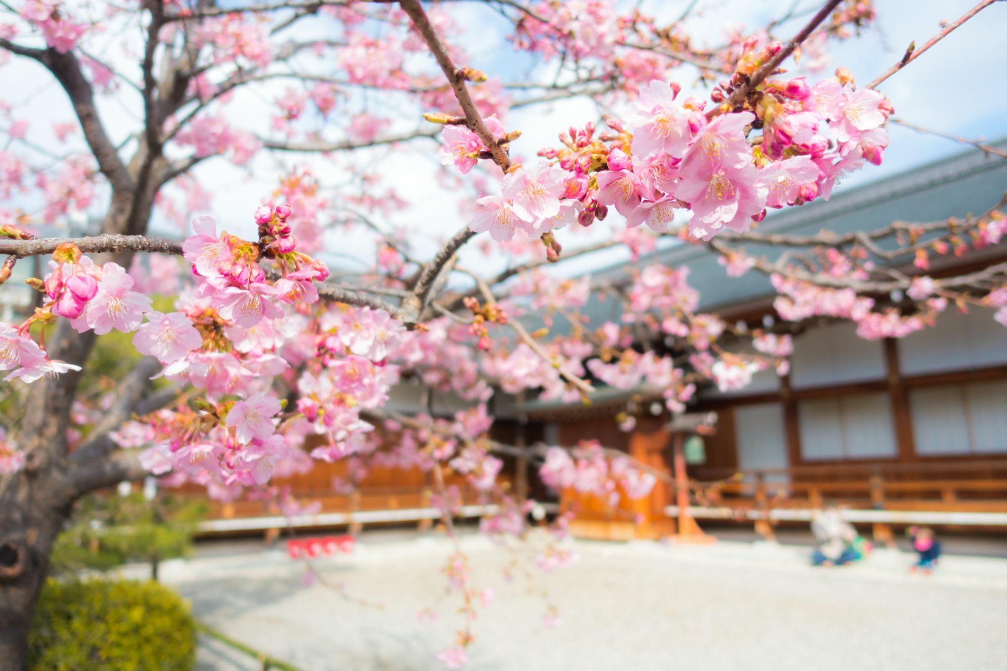 Stay Sakura Kyoto Toji West I Екстер'єр фото